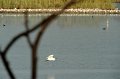 30.9.2012 Saline di Priolo (113)